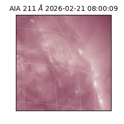 saia - 2026-02-21T08:00:09.619000