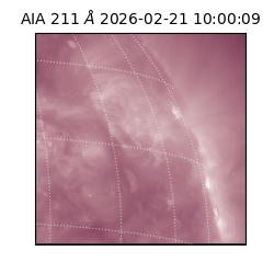 saia - 2026-02-21T10:00:09.632000