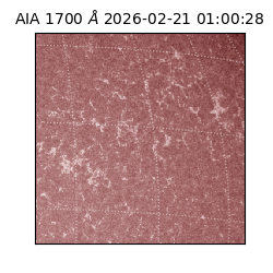 saia - 2026-02-21T01:00:28.717000