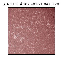 saia - 2026-02-21T04:00:28.710000