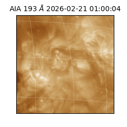 saia - 2026-02-21T01:00:04.843000