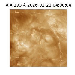 saia - 2026-02-21T04:00:04.835000