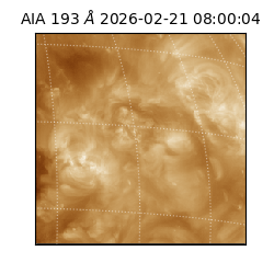 saia - 2026-02-21T08:00:04.835000