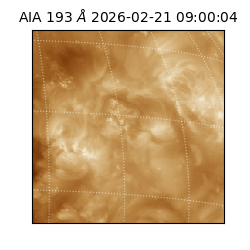 saia - 2026-02-21T09:00:04.843000