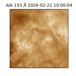 saia - 2026-02-21T10:00:04.843000