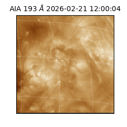 saia - 2026-02-21T12:00:04.843000