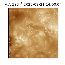 saia - 2026-02-21T14:00:04.842000