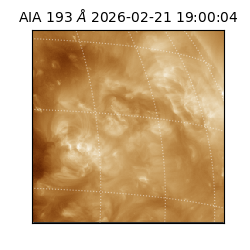 saia - 2026-02-21T19:00:04.843000