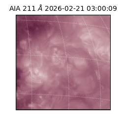 saia - 2026-02-21T03:00:09.640000