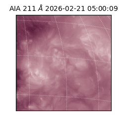 saia - 2026-02-21T05:00:09.632000