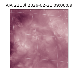 saia - 2026-02-21T09:00:09.626000