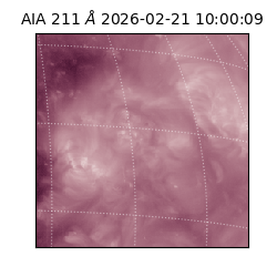 saia - 2026-02-21T10:00:09.632000