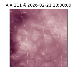 saia - 2026-02-21T23:00:09.632000