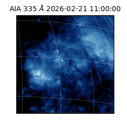 saia - 2026-02-21T11:00:00.639000