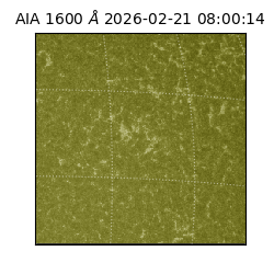 saia - 2026-02-21T08:00:14.123000