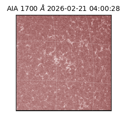 saia - 2026-02-21T04:00:28.710000