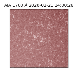 saia - 2026-02-21T14:00:28.717000