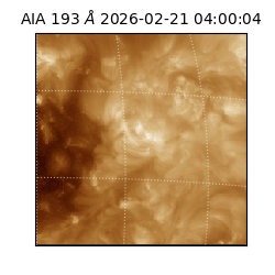 saia - 2026-02-21T04:00:04.835000