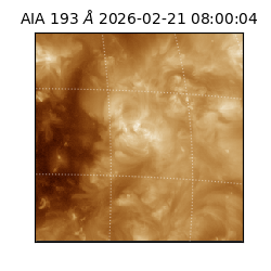 saia - 2026-02-21T08:00:04.835000