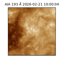 saia - 2026-02-21T10:00:04.843000