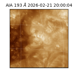 saia - 2026-02-21T20:00:04.835000