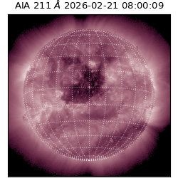 saia - 2026-02-21T08:00:09.619000