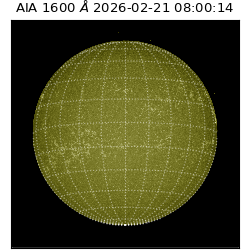 saia - 2026-02-21T08:00:14.123000