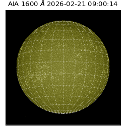 saia - 2026-02-21T09:00:14.133000