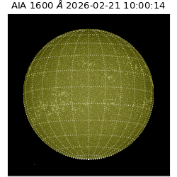 saia - 2026-02-21T10:00:14.134000