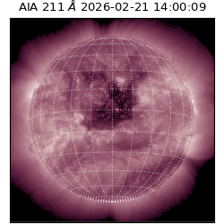 saia - 2026-02-21T14:00:09.626000