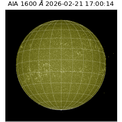 saia - 2026-02-21T17:00:14.129000