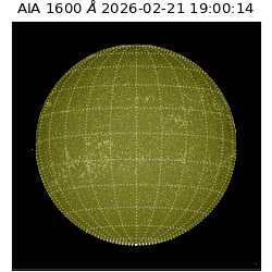 saia - 2026-02-21T19:00:14.134000