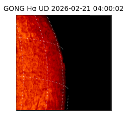 gong - 2026-02-21T04:00:02