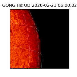 gong - 2026-02-21T06:00:02