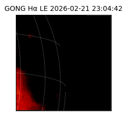 gong - 2026-02-21T23:04:42
