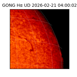 gong - 2026-02-21T04:00:02
