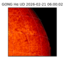 gong - 2026-02-21T06:00:02