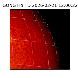 gong - 2026-02-21T12:00:22