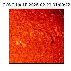 gong - 2026-02-21T01:00:42