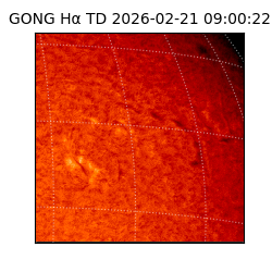 gong - 2026-02-21T09:00:22