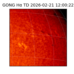 gong - 2026-02-21T12:00:22