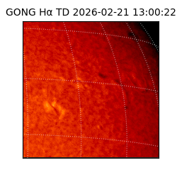 gong - 2026-02-21T13:00:22