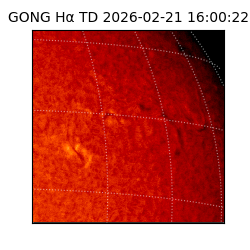 gong - 2026-02-21T16:00:22