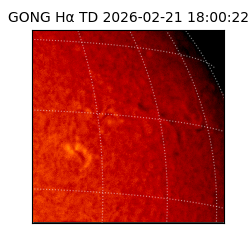 gong - 2026-02-21T18:00:22