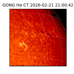 gong - 2026-02-21T21:00:42