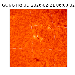 gong - 2026-02-21T06:00:02