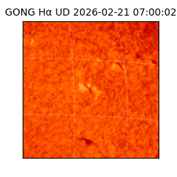 gong - 2026-02-21T07:00:02