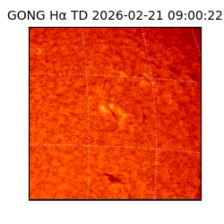 gong - 2026-02-21T09:00:22