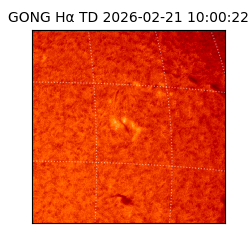 gong - 2026-02-21T10:00:22