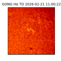 gong - 2026-02-21T11:00:22